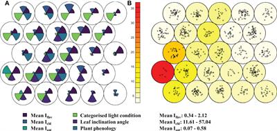 The roles of species’ relatedness and climate of origin in determining optical leaf traits over a large set of taxa growing at high elevation and high latitude